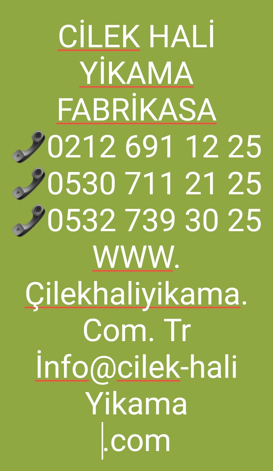 Çilek Halı Yıkama fabrikası Ispartakule